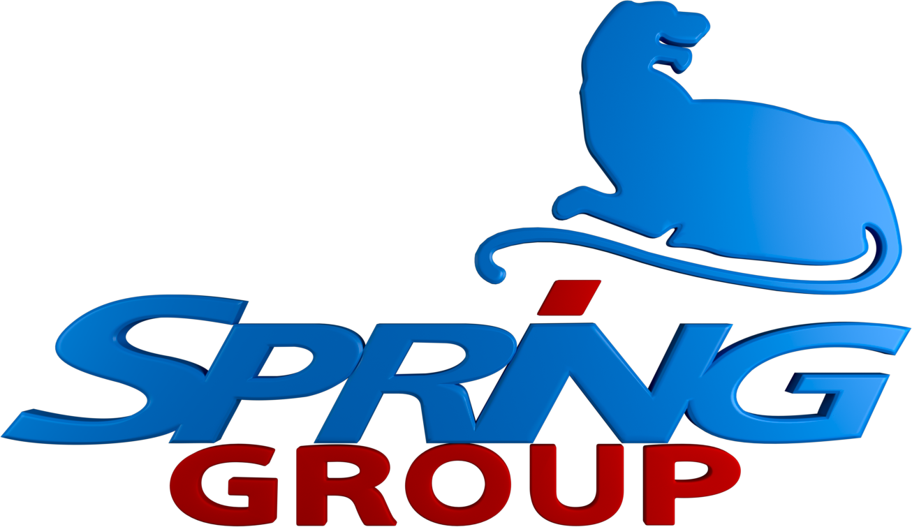 Logo Soring-group